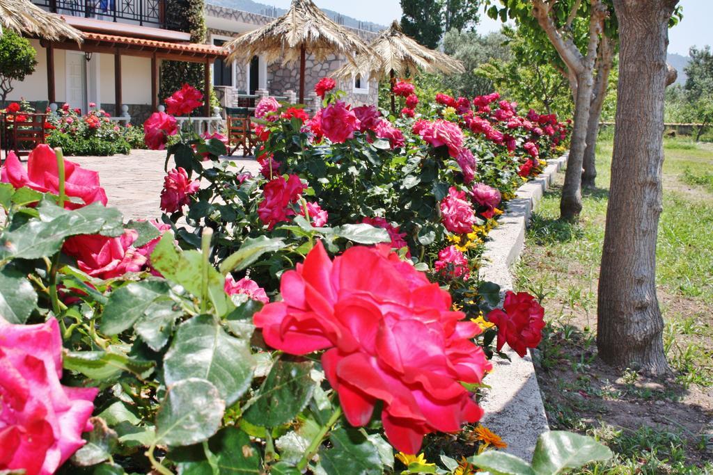 Villa Vicky Петра Экстерьер фото