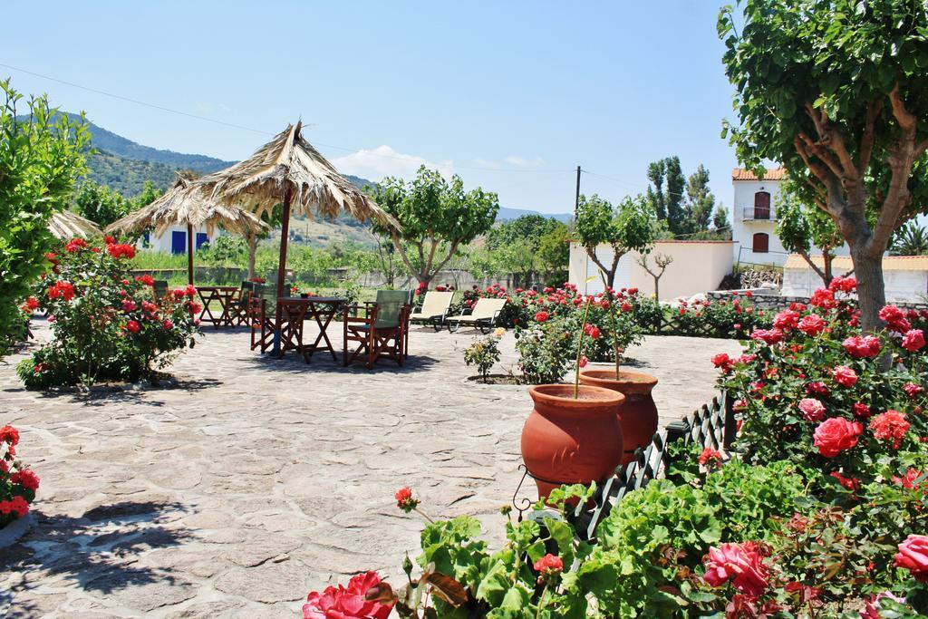 Villa Vicky Петра Экстерьер фото